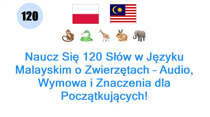 Naucz Się 120 Słów w Języku Malayskim o Zwierzętach – Audio, Wymowa i Znaczenia dla Początkujących!
